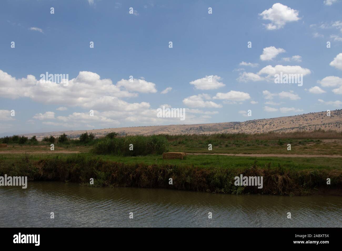 The beauty of nature Stock Photo - Alamy
