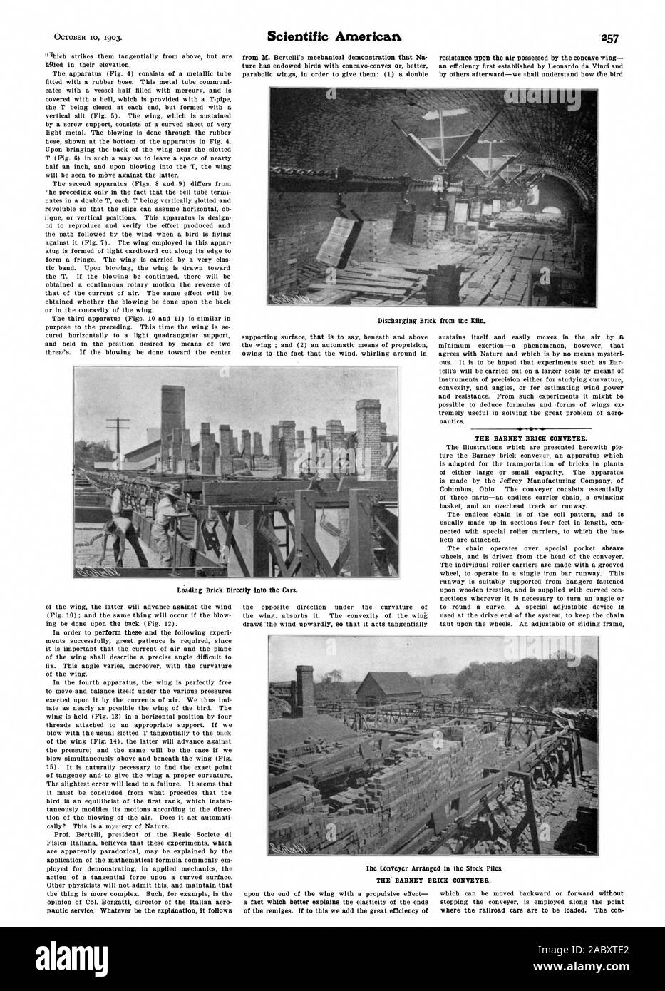 Scientific American 257 resistance upon the air possessed by the ...