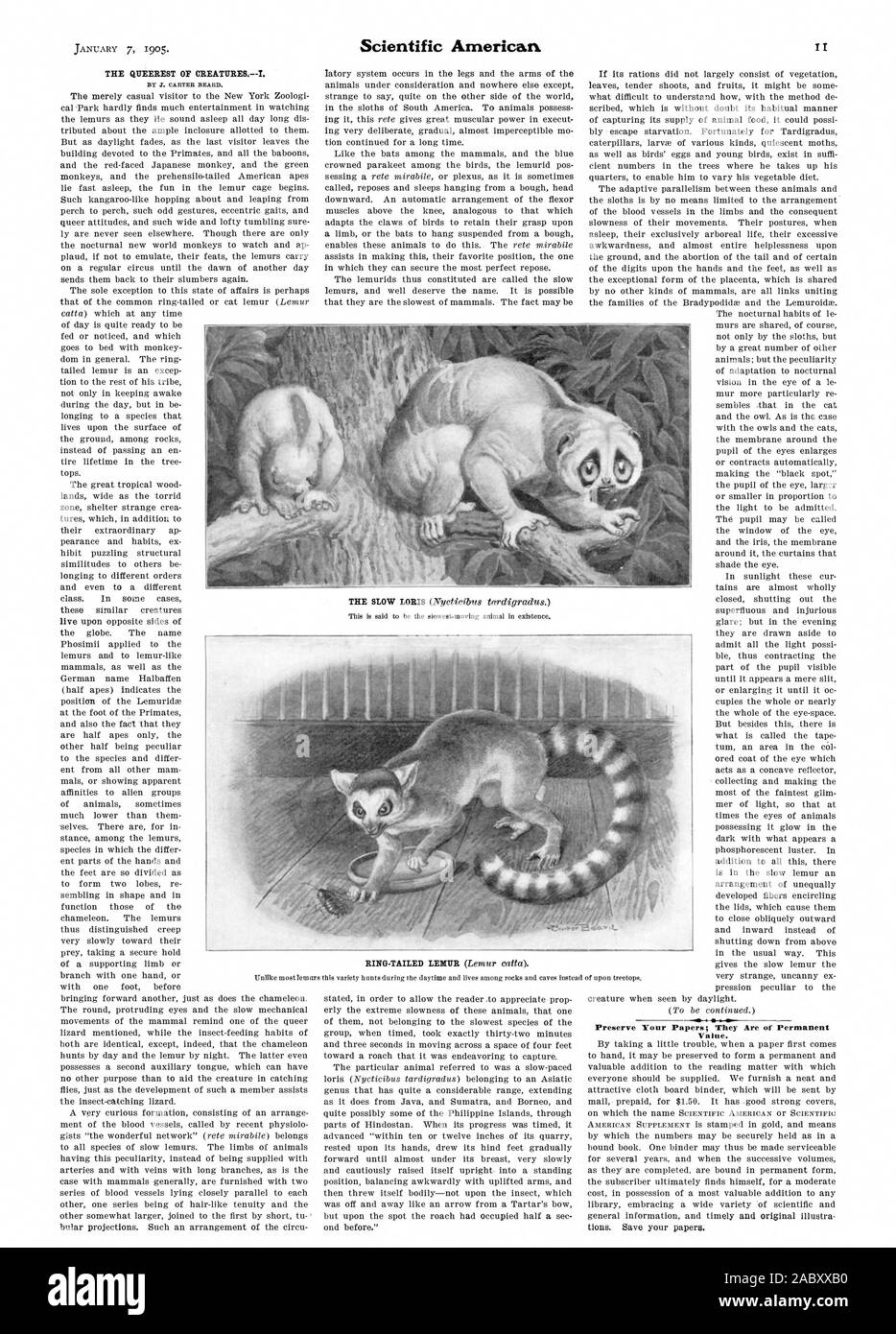 By J Carter Beard Ow Preserve Your Papers They Are Of Permanent Value Scientific American 1905 01 11 Stock Photo Alamy