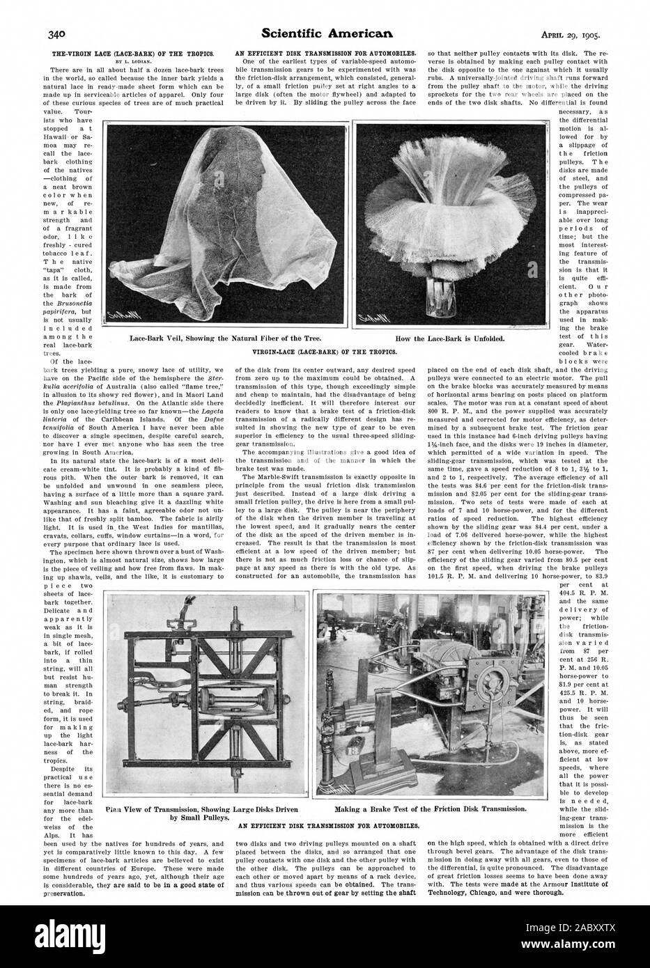 THE-VIRGIN LACE (LACE-BARK) OF THE TROPICS AN EFFICIENT DISK TRANSMISSION FOR AUTOMOBILES. VIRGIN.LACE (LACE-BARK) OF THE TROPICS. verse is obtained by making each pulley contact with the disk opposite to the one against which it usually AN EFFICIENT DISK TRANSMISSION FOR AUTOMOBILES., scientific american, 1905-04-29 Stock Photo