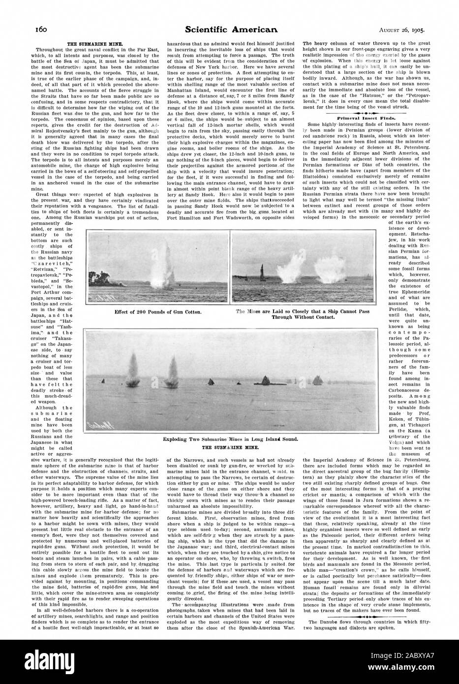 THE SUBMARINE MINE. . .1 Primeval Insect Finds. The Mines are Laid so Closely that a Ship Cannot Pass Through Without Contact., scientific american, 1905-08-26 Stock Photo