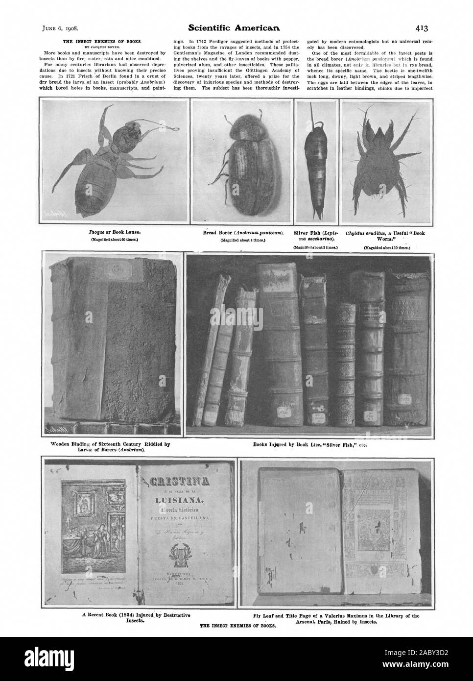 A Recent Book (1834) Injured by Destructive Fly Leaf and Title Page of a Valerius Maximus in the Library of the Insects. 1-Neatanra LUISIANA. flarcia ftiotOrica 1., scientific american, 1908-06-06 Stock Photo