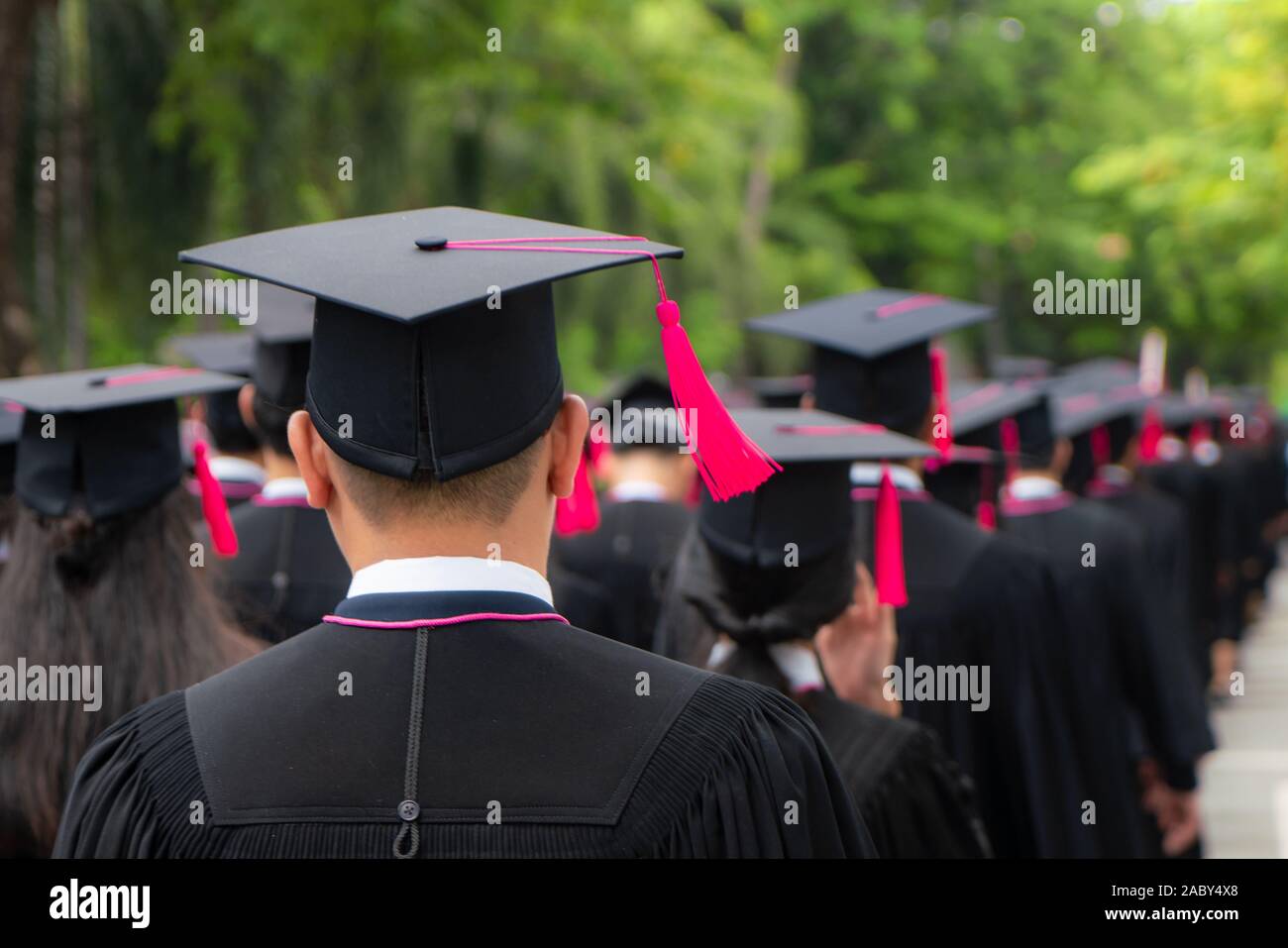Rear view of group of university graduates in black gowns lines up for degree in university graduation ceremony. Concept education congratulation, stu Stock Photo