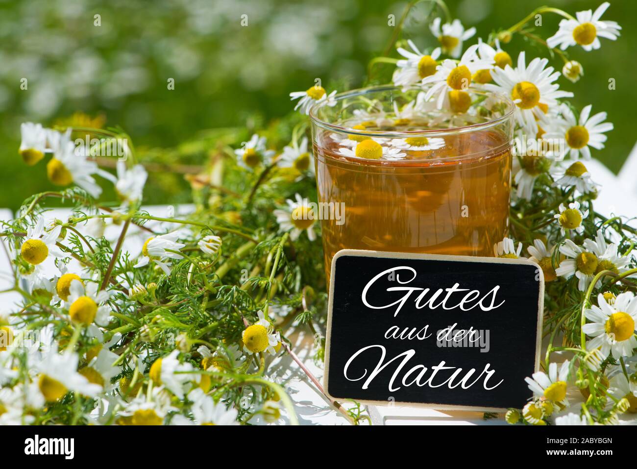 Chamomile flower tea with fresh chamomile Stock Photo Alamy