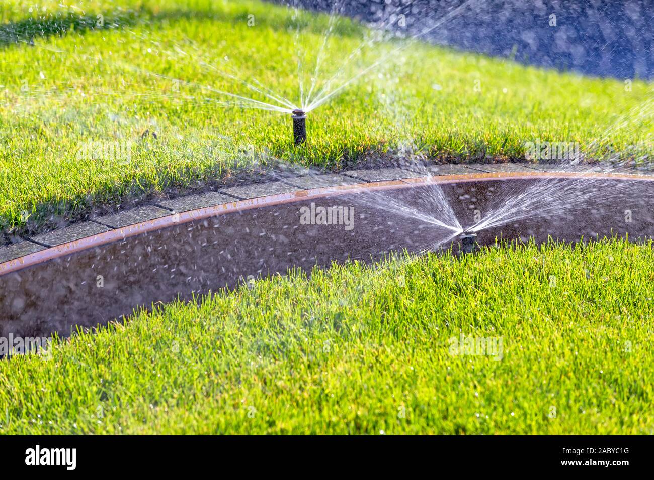 Automatic underground irrigation sprinkler system, watering park lawn with background of green