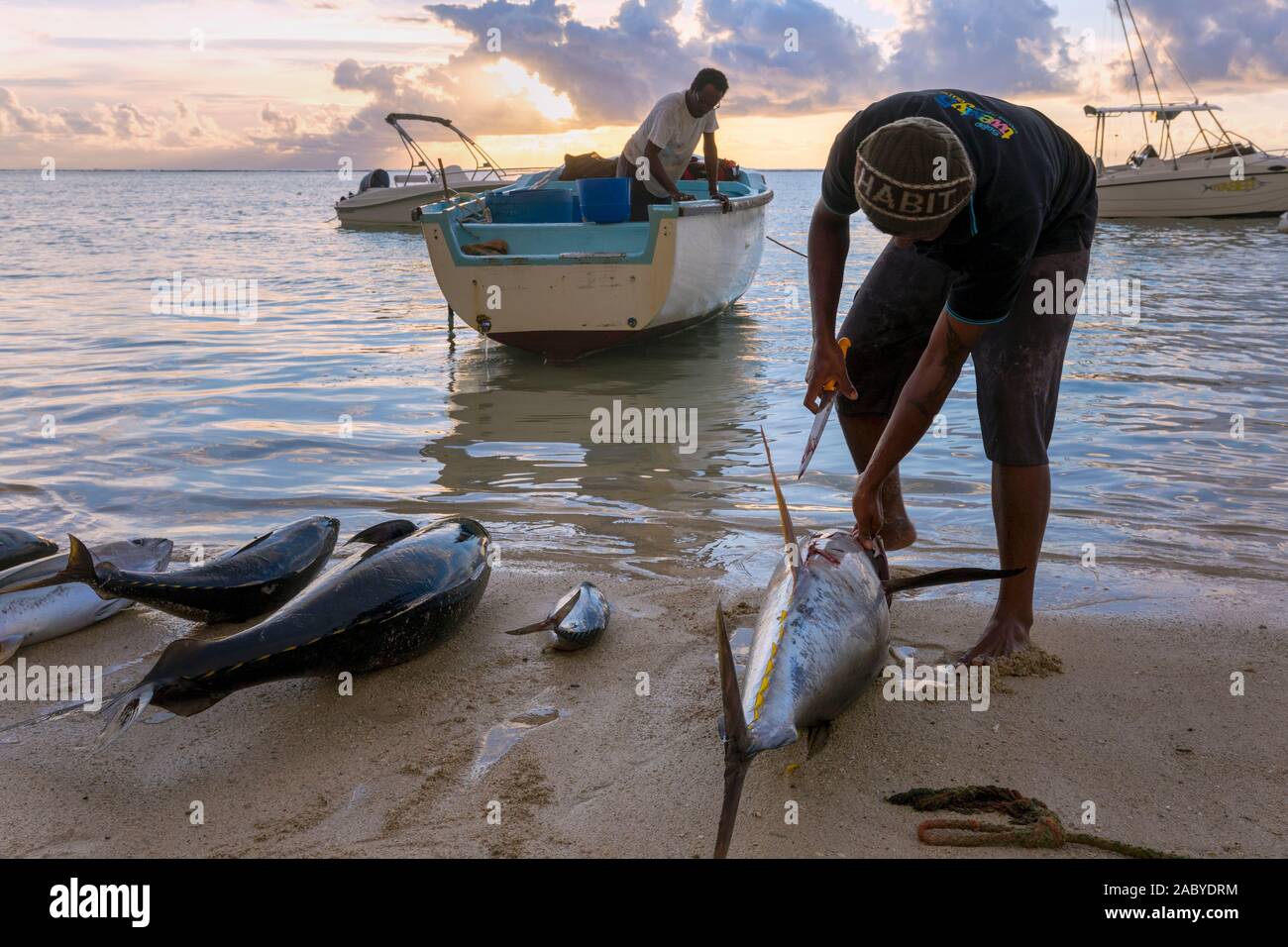 Mauritius fish hi-res stock photography and images - Alamy
