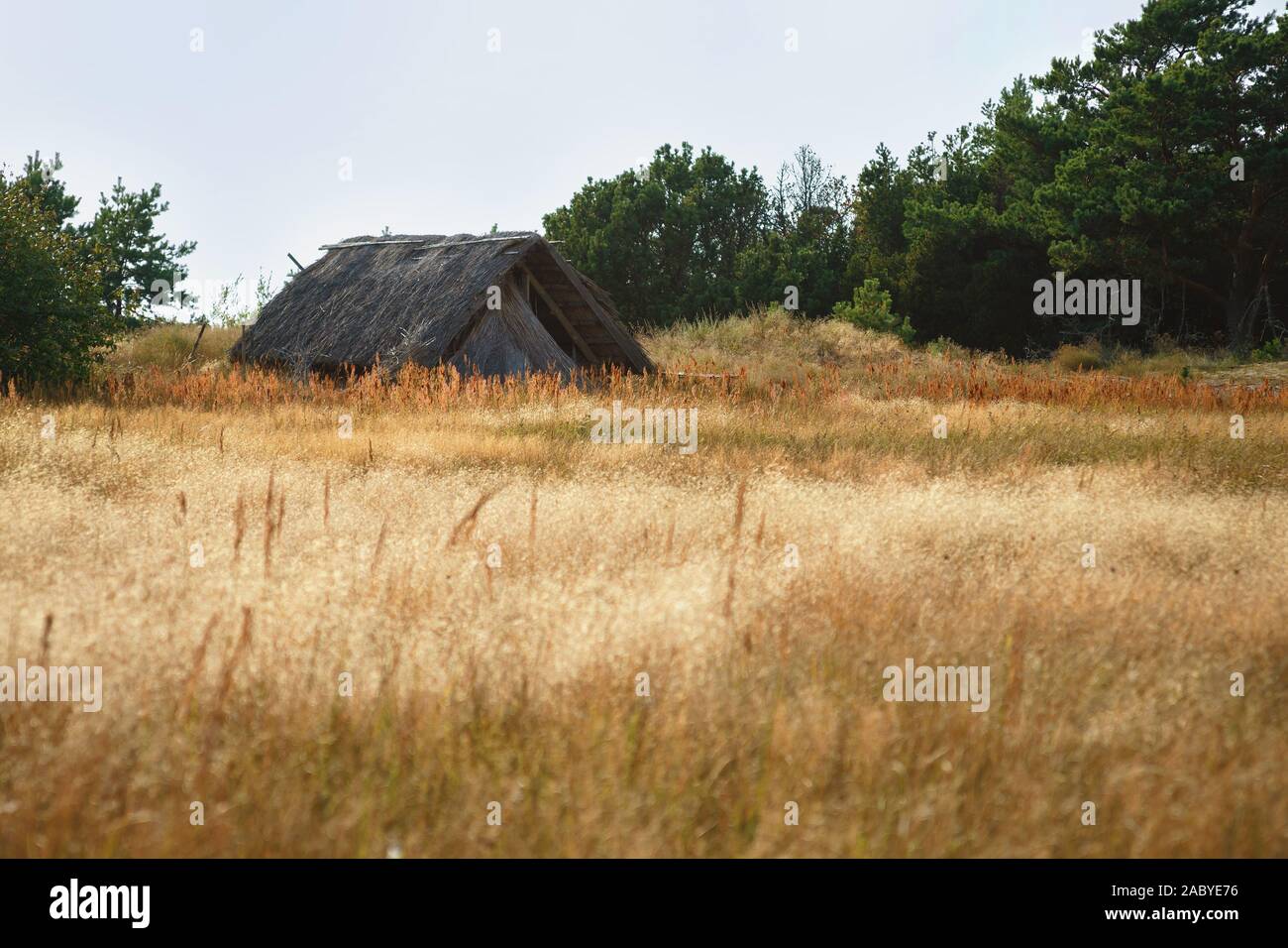 Small grass hut in a meadow.  Nida, Latvia. Baltic seaside Stock Photo