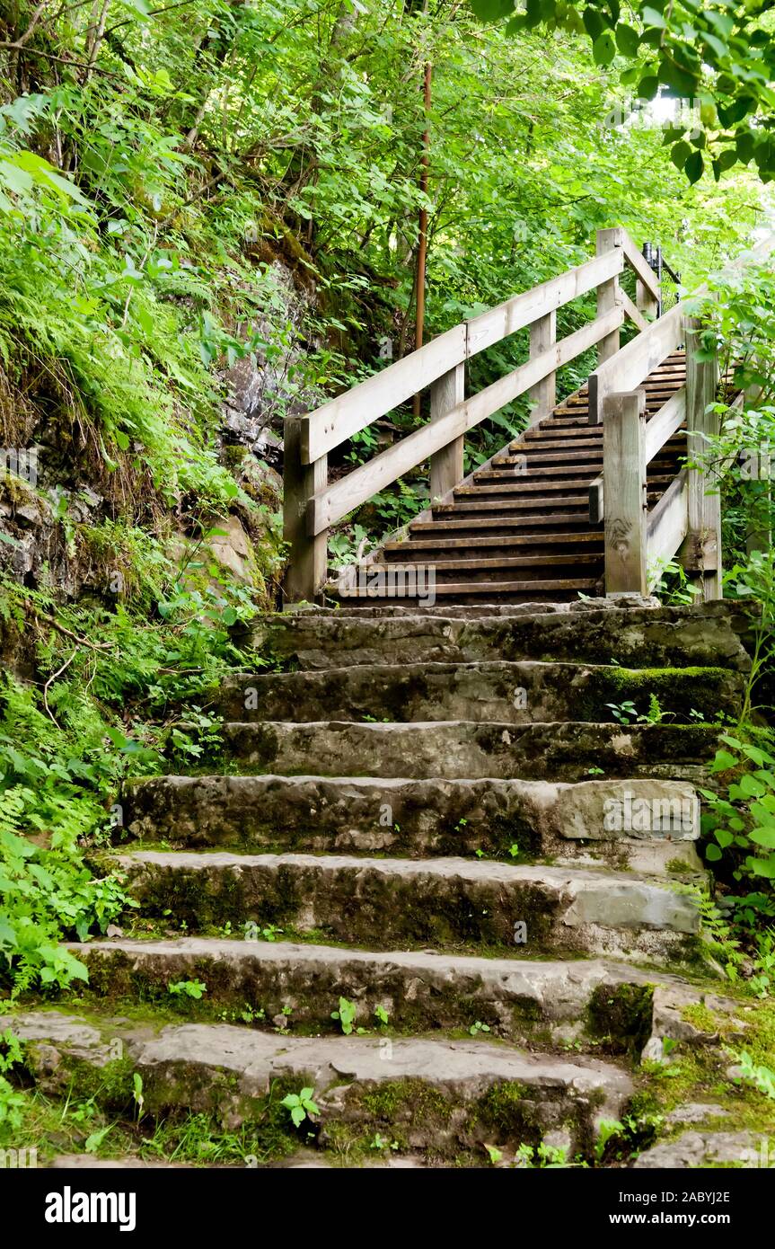 Set of steps hi-res stock photography and images - Alamy