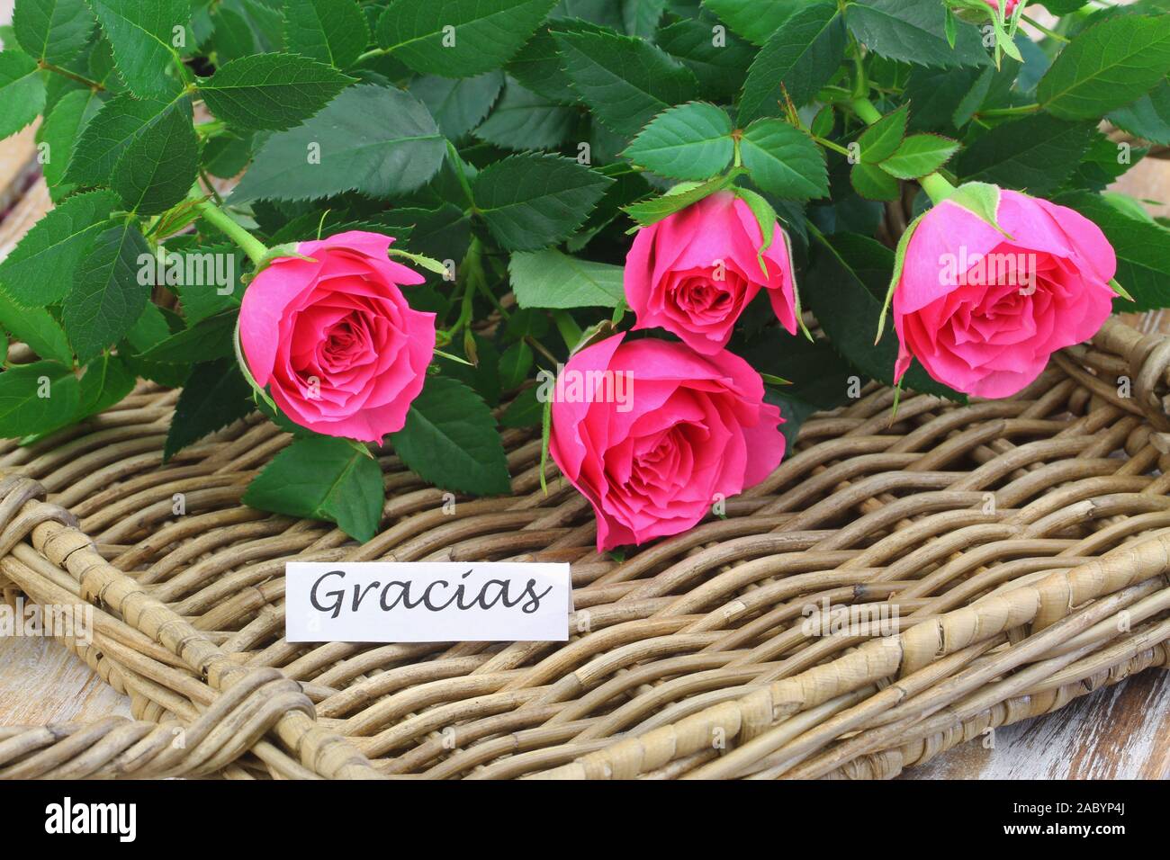 Gracias (thank you in Spanish) card with pink wild roses on wicker tray