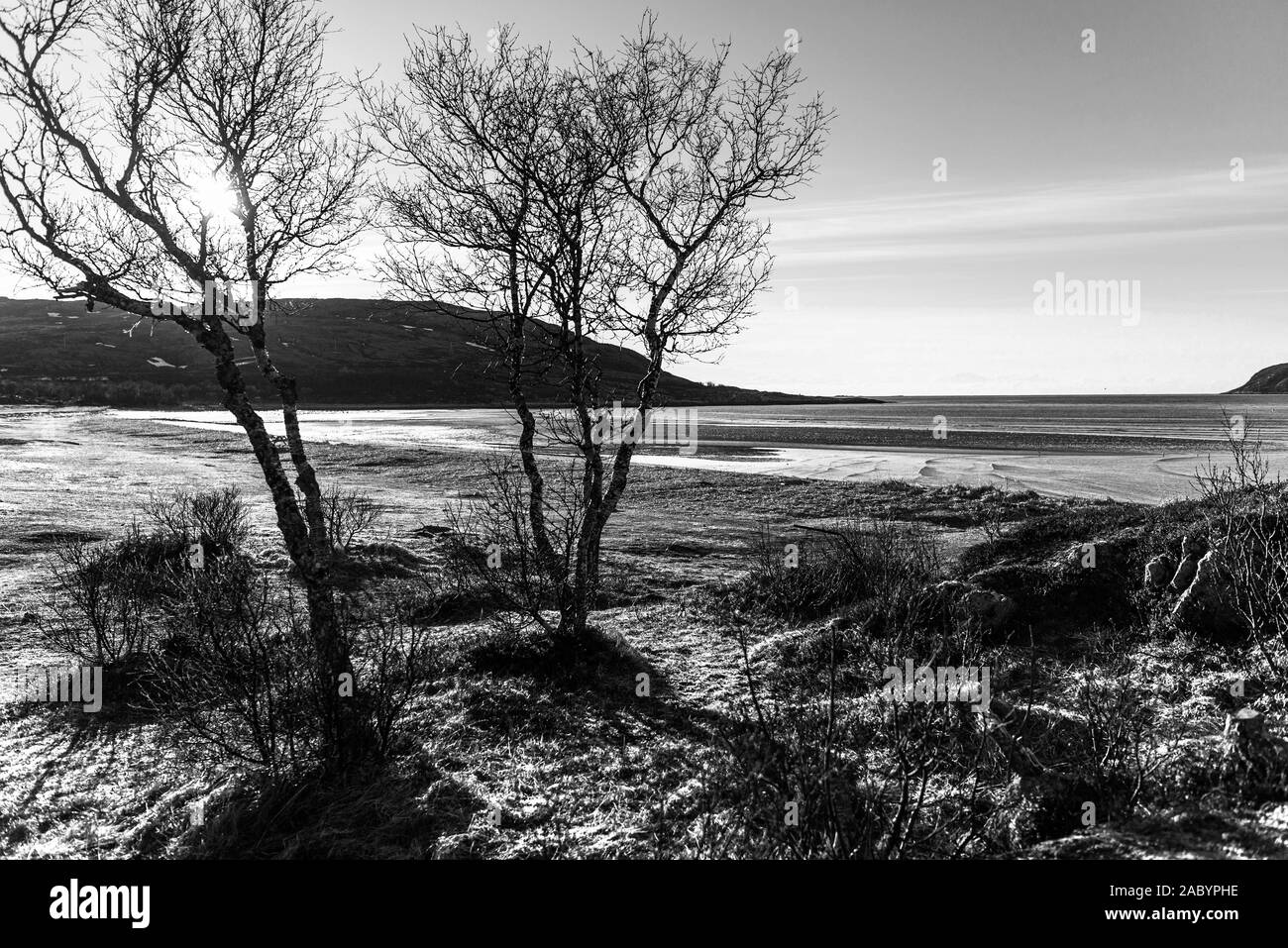 Norway creek Black and White Stock Photos & Images - Alamy