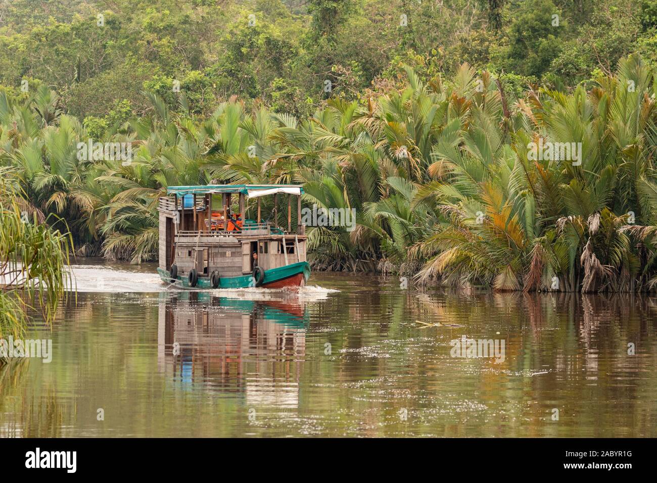 Scenes from Sekonyer River, Tanjung Puting National Park, Kalimantan, Borneo Stock Photo