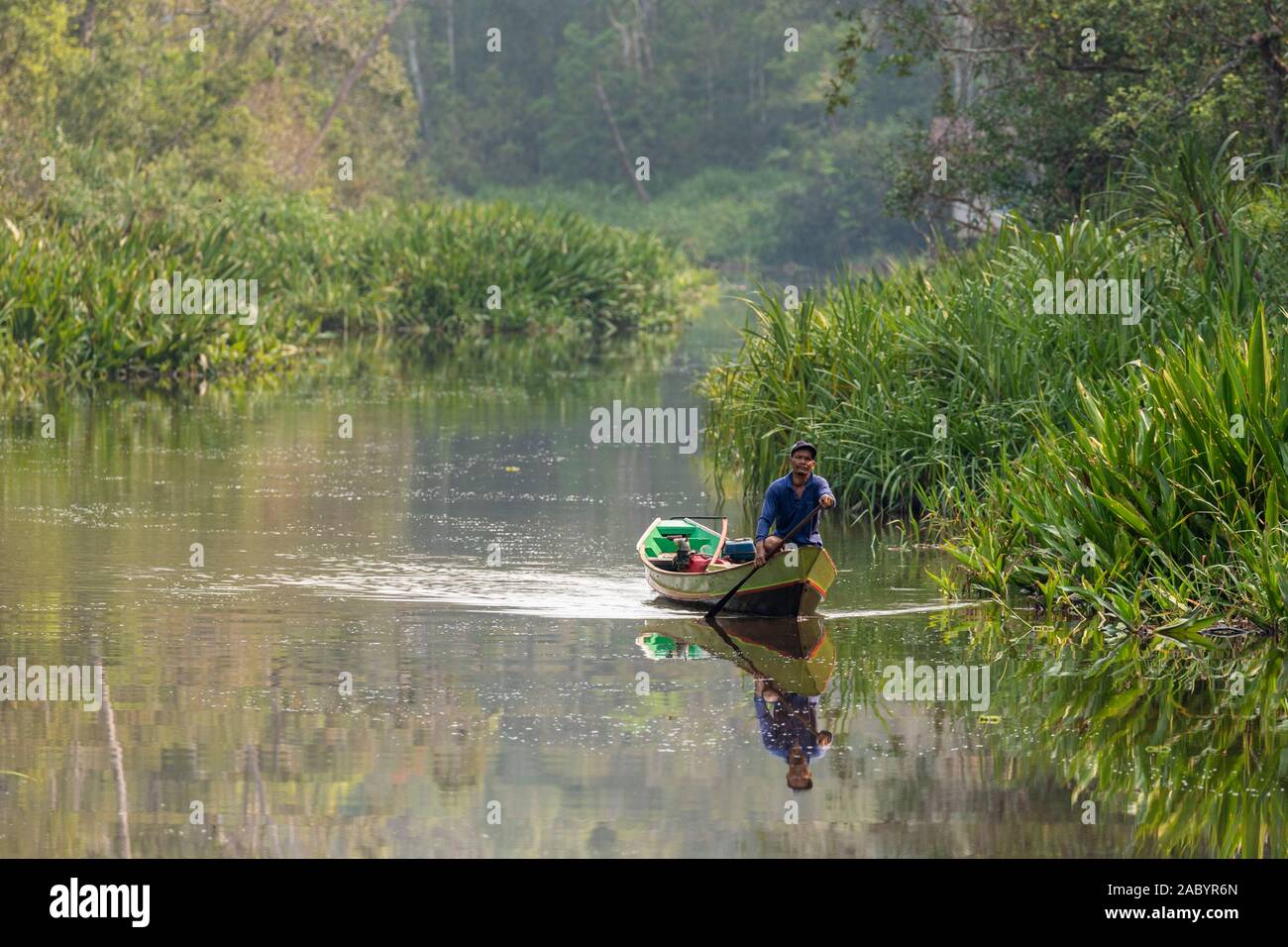 Scenes from Sekonyer River, Tanjung Puting National Park, Kalimantan, Borneo Stock Photo