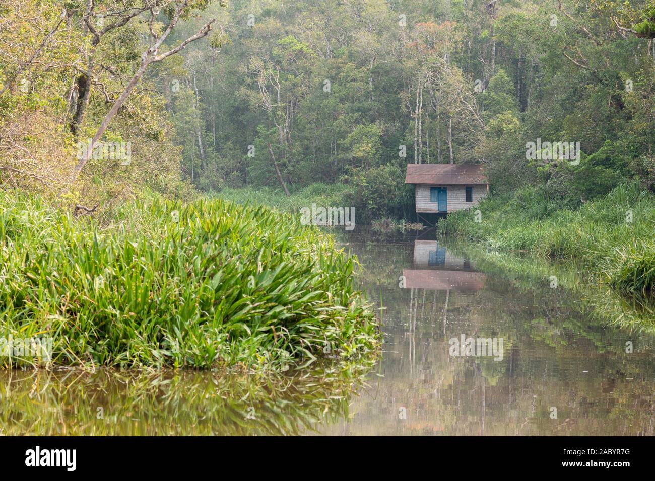Scenes from Sekonyer River, Tanjung Puting National Park, Kalimantan, Borneo Stock Photo