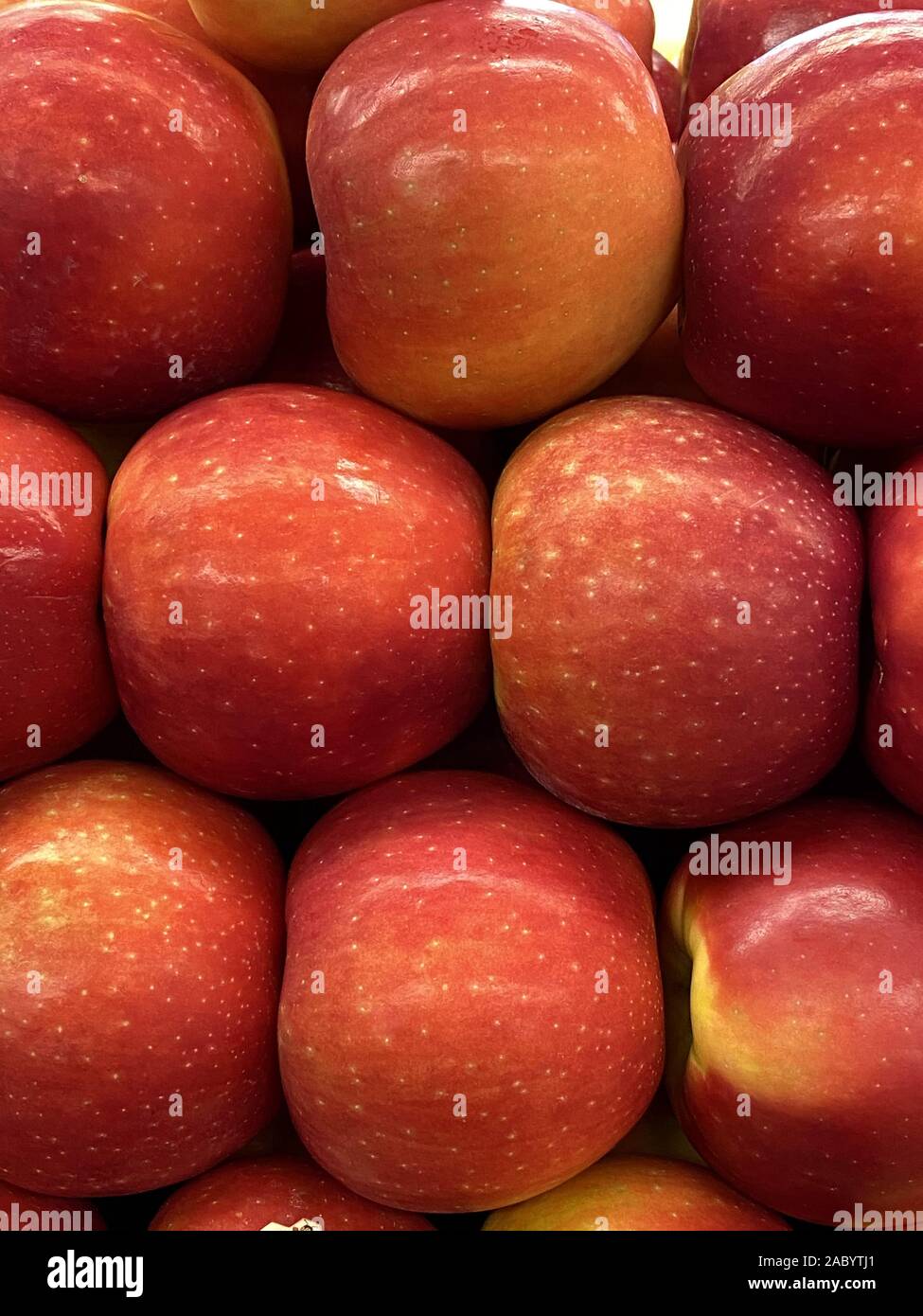 https://c8.alamy.com/comp/2ABYTJ1/apples-2ABYTJ1.jpg