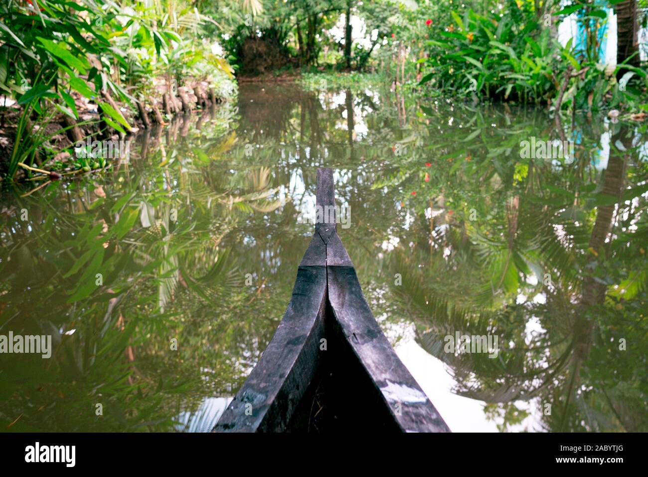 riding wood fishing boat in kerala backwaters village water channel under palm trees, a pristine natural environment during monsoon season Stock Photo