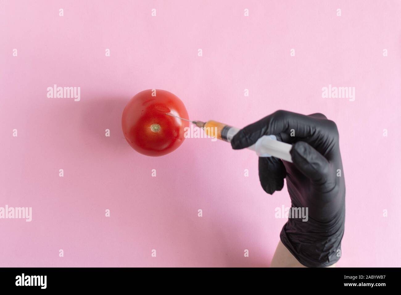 Chemical processing of vegetables, fertilizers and GMOs. Hand of person injects chemicals into tomato, GMO fertilizers and chemicals with a syringe to Stock Photo