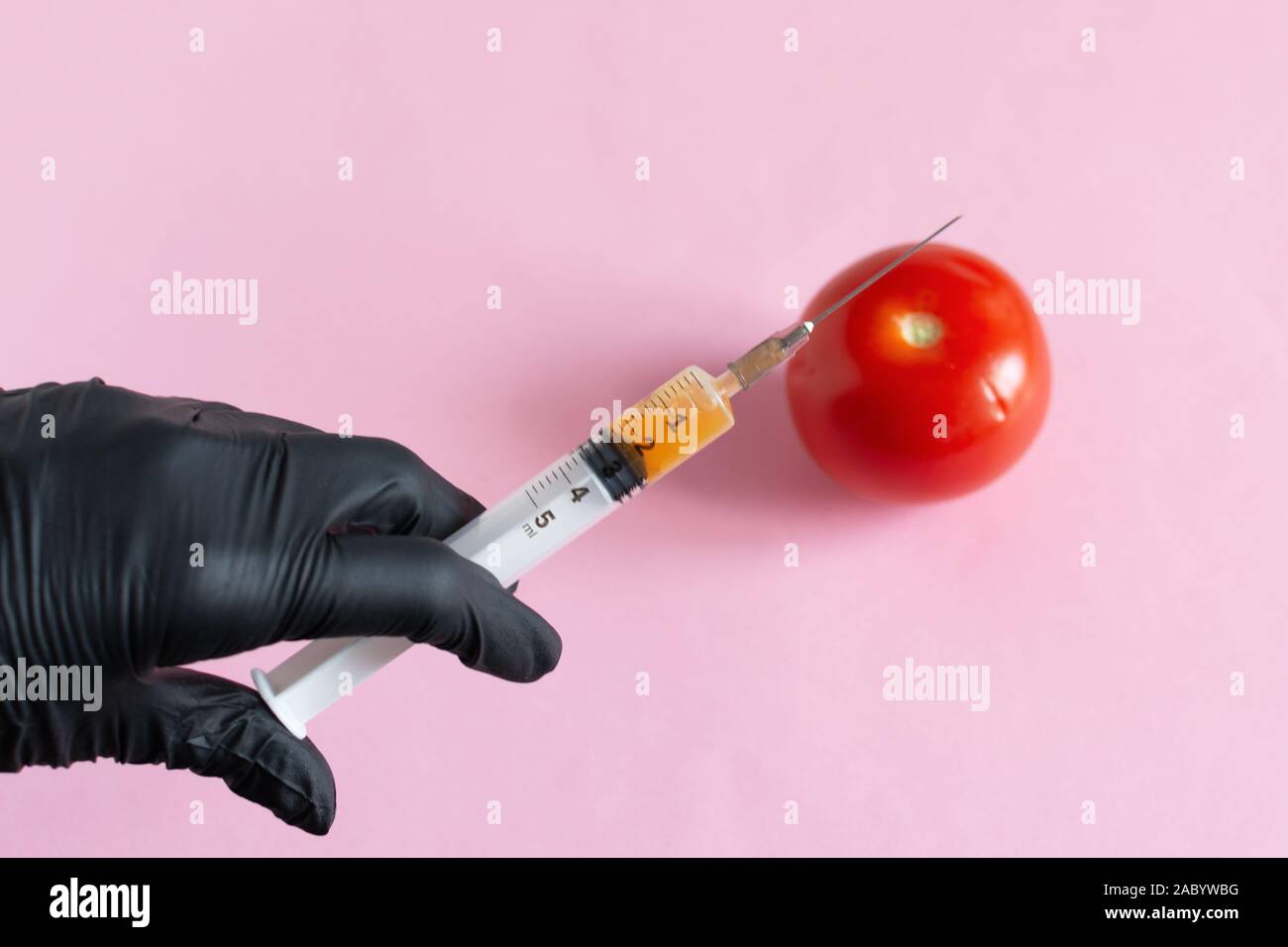 Chemical processing of vegetables, fertilizers and GMOs. Hand of person injects chemicals into tomato, GMO fertilizers and chemicals with a syringe to Stock Photo
