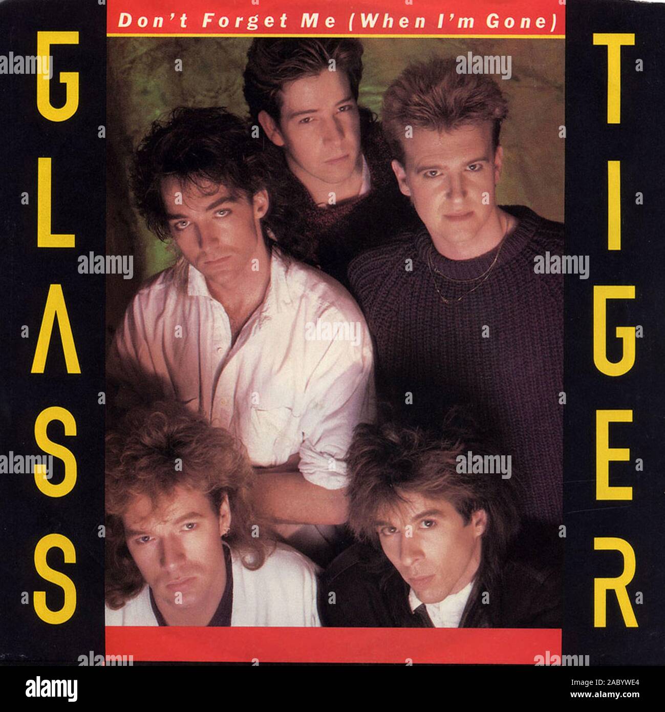 Glass Tiger - Don't Forget Me (When I'm Gone)   - Vintage vinyl album cover Stock Photo