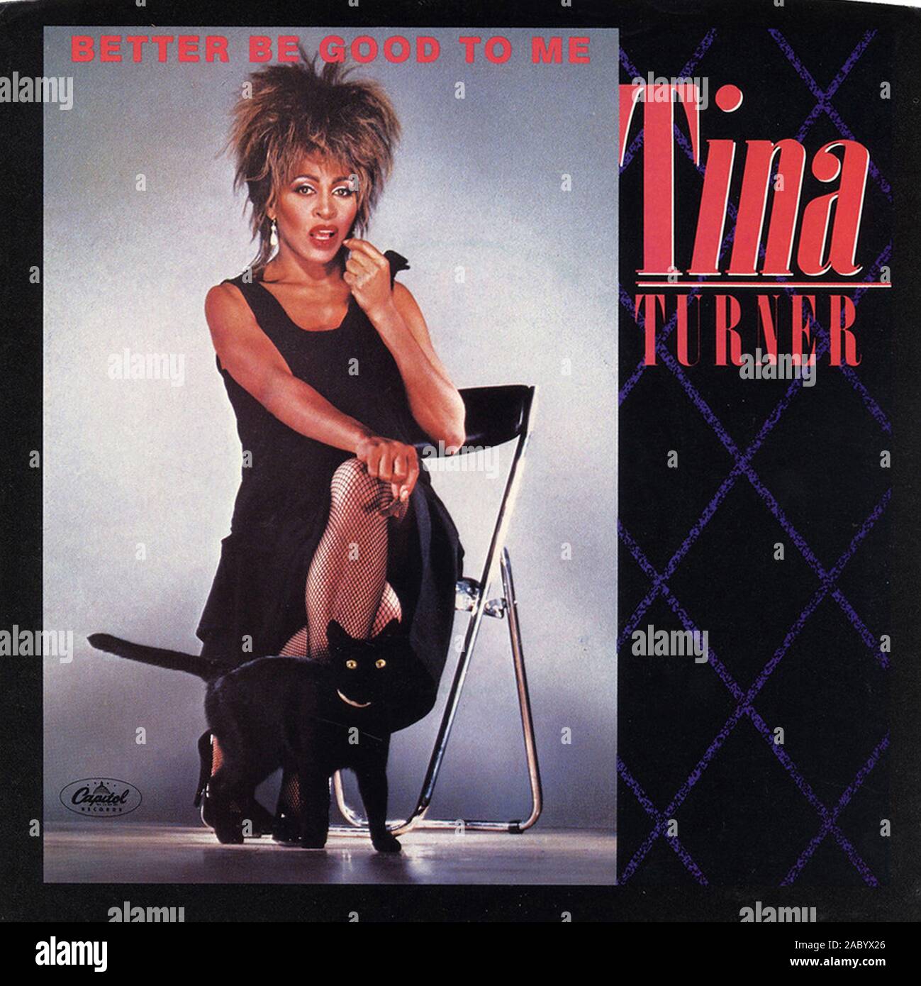 cover tina turner the best