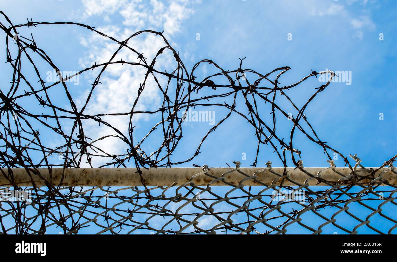 a coil of tangled barbed wire on a chain link fence at a prison against blue skies on a sunny day Stock Photo