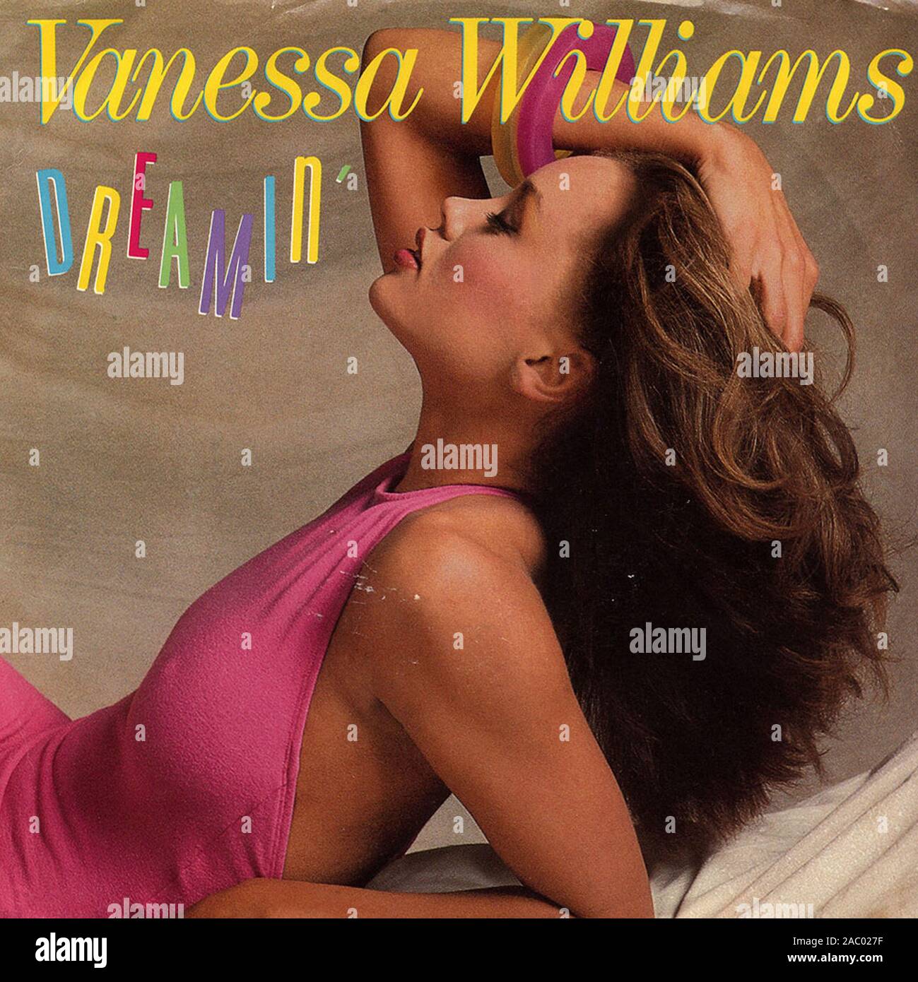 Vanessa Williams - Dreamin'   - Vintage vinyl album cover Stock Photo