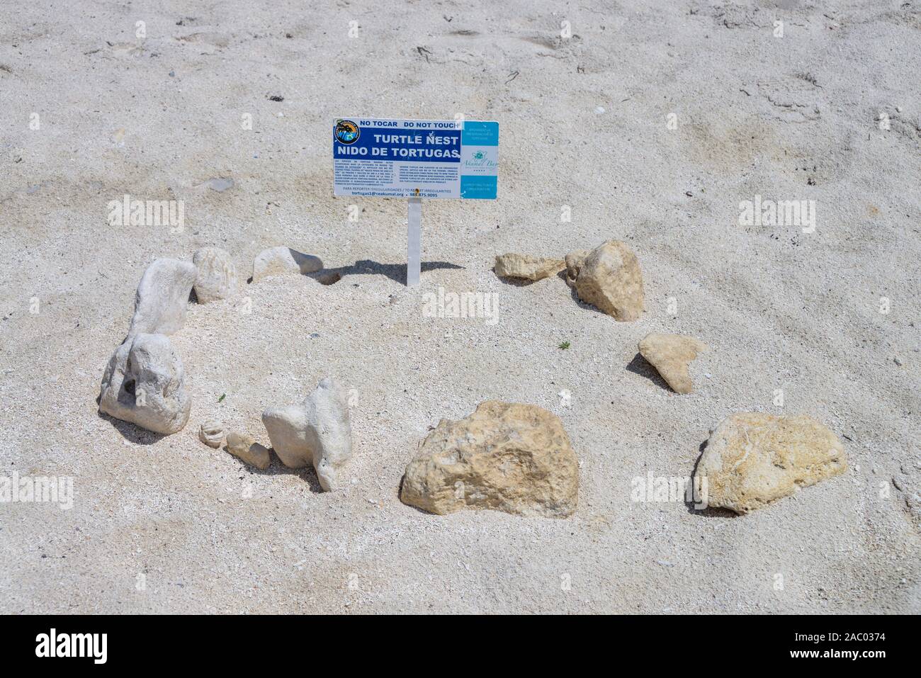 Schild, Nest Gelege Meeresschildkröten, Strand, Akumal, Quintana Roo, Mexiko Stock Photo