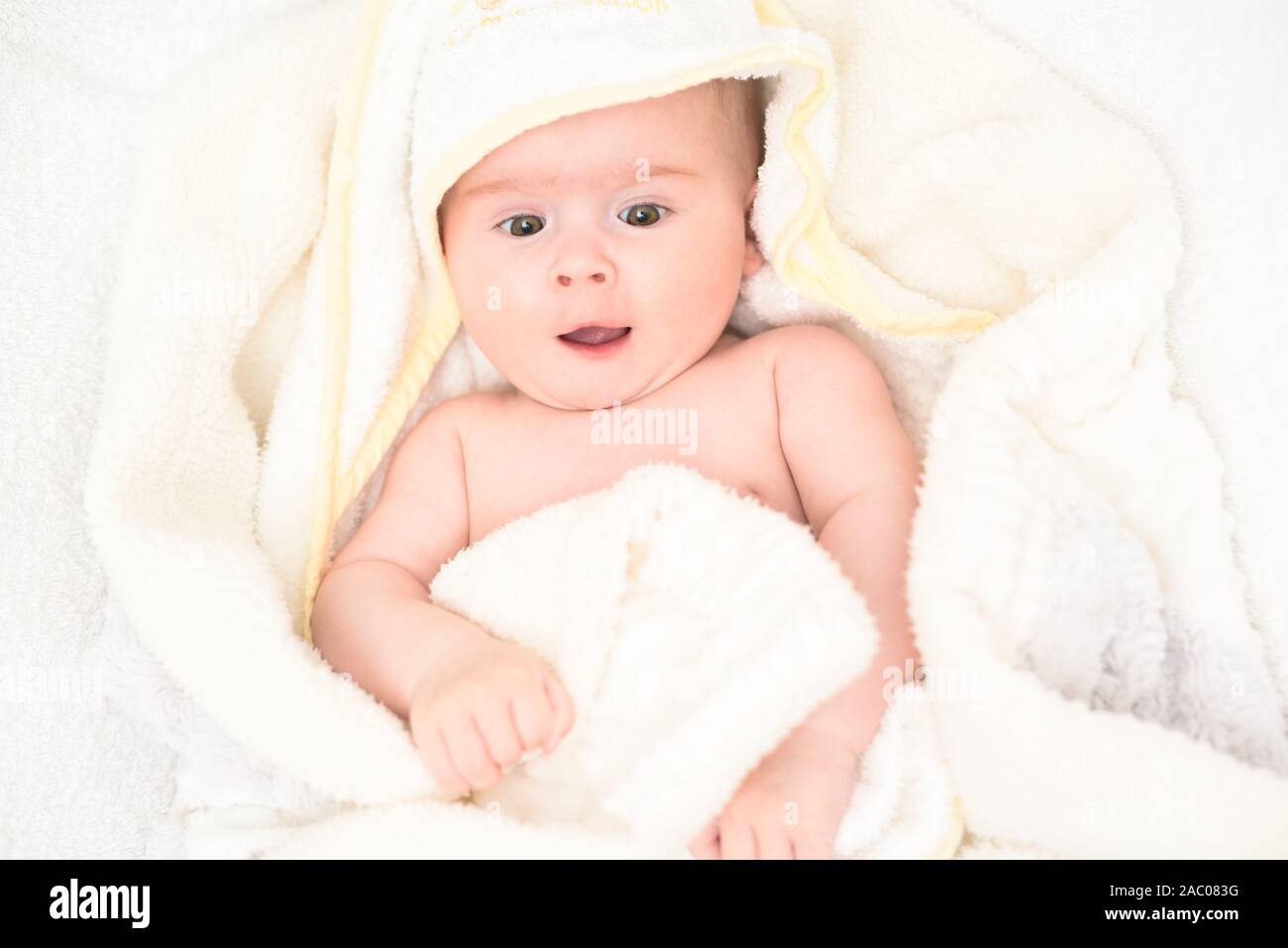 Adorable 6 months old Baby girl infant on a bed on her belly with head up looking into camera with her big eyes. Natural light. Stock Photo