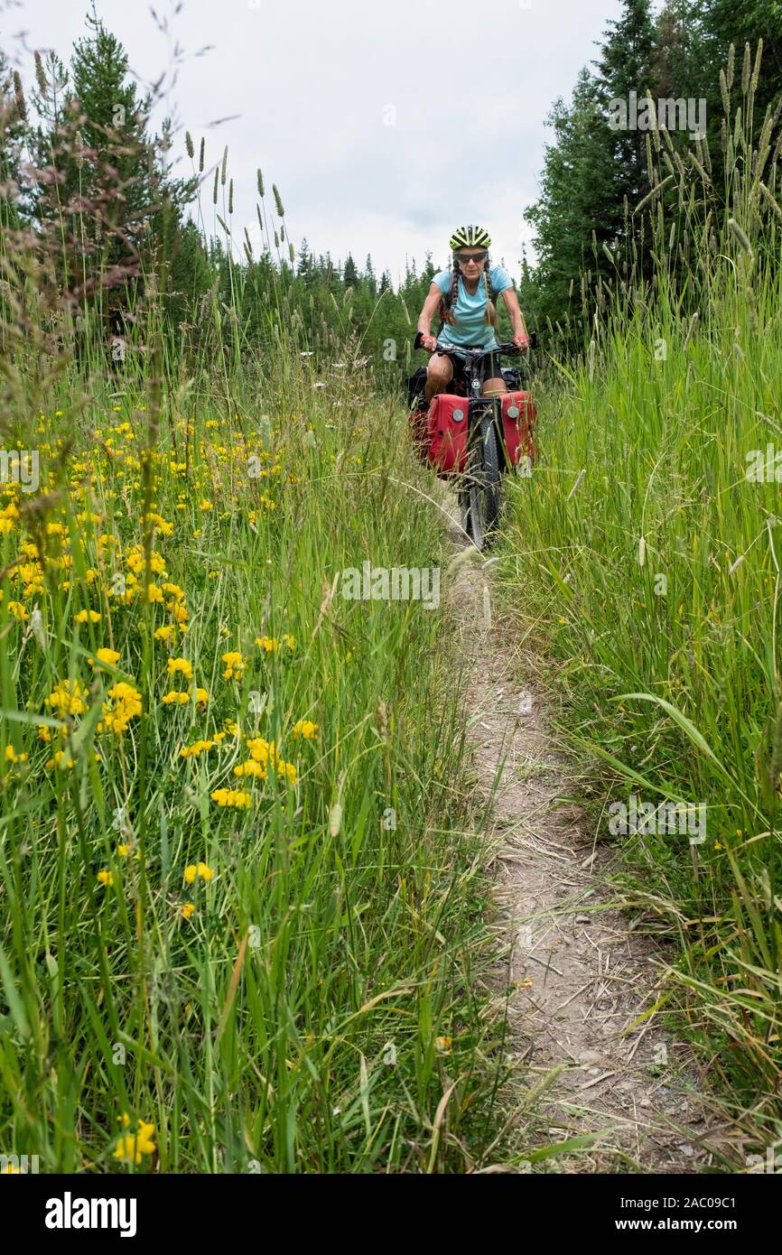 MT00364-00...MONTANA - Vicky Spring cycling a two track section of the Great Divide Mountain Bike Route  north of Holland Lake. MR# S1 Stock Photo