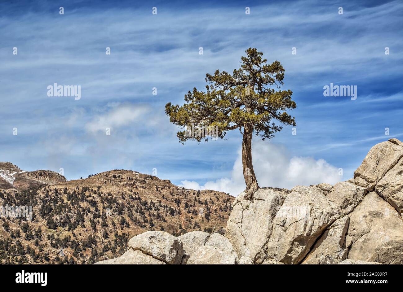 Taurus Mountains, Baranda Plateau and juniper trees Stock Photo