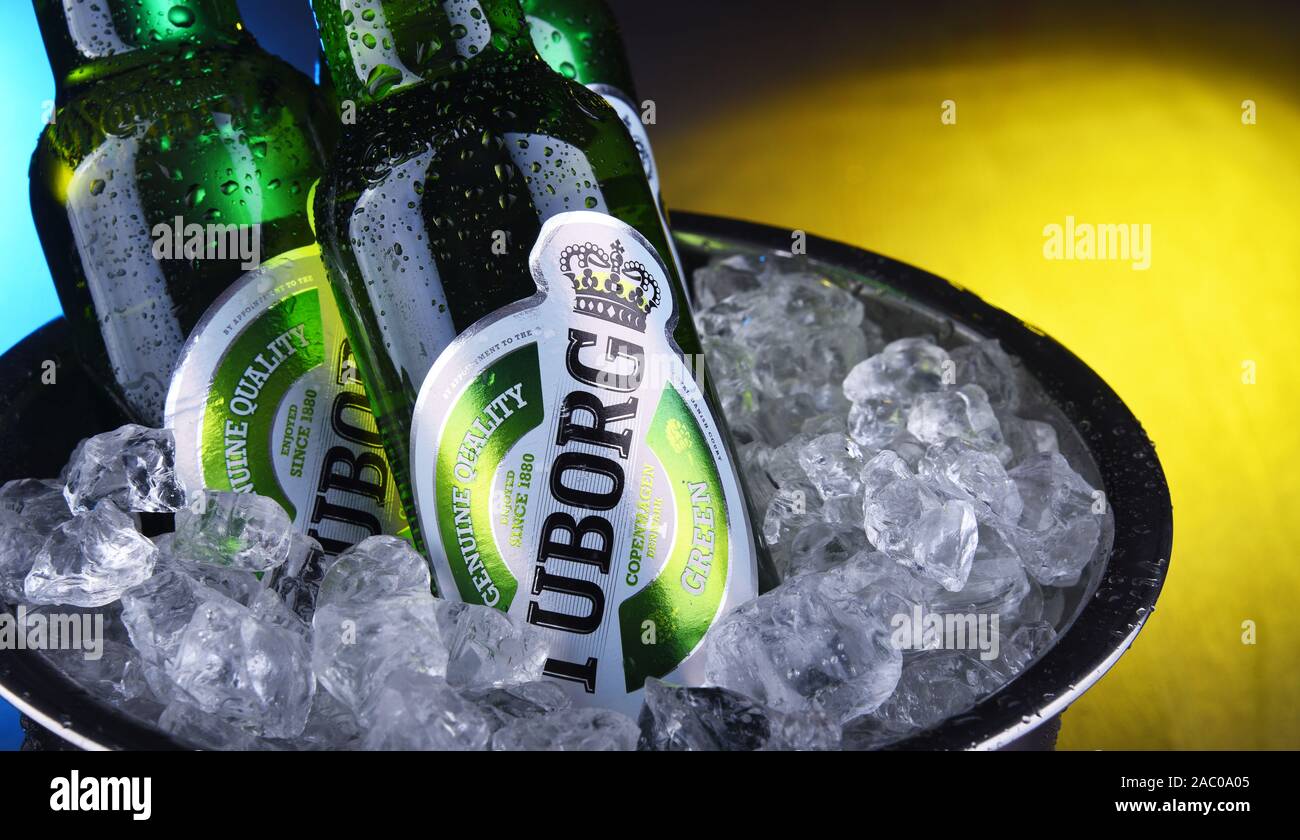 Beer alcohol drink drinks liquid still life, tuborg HD wallpaper | Pxfuel