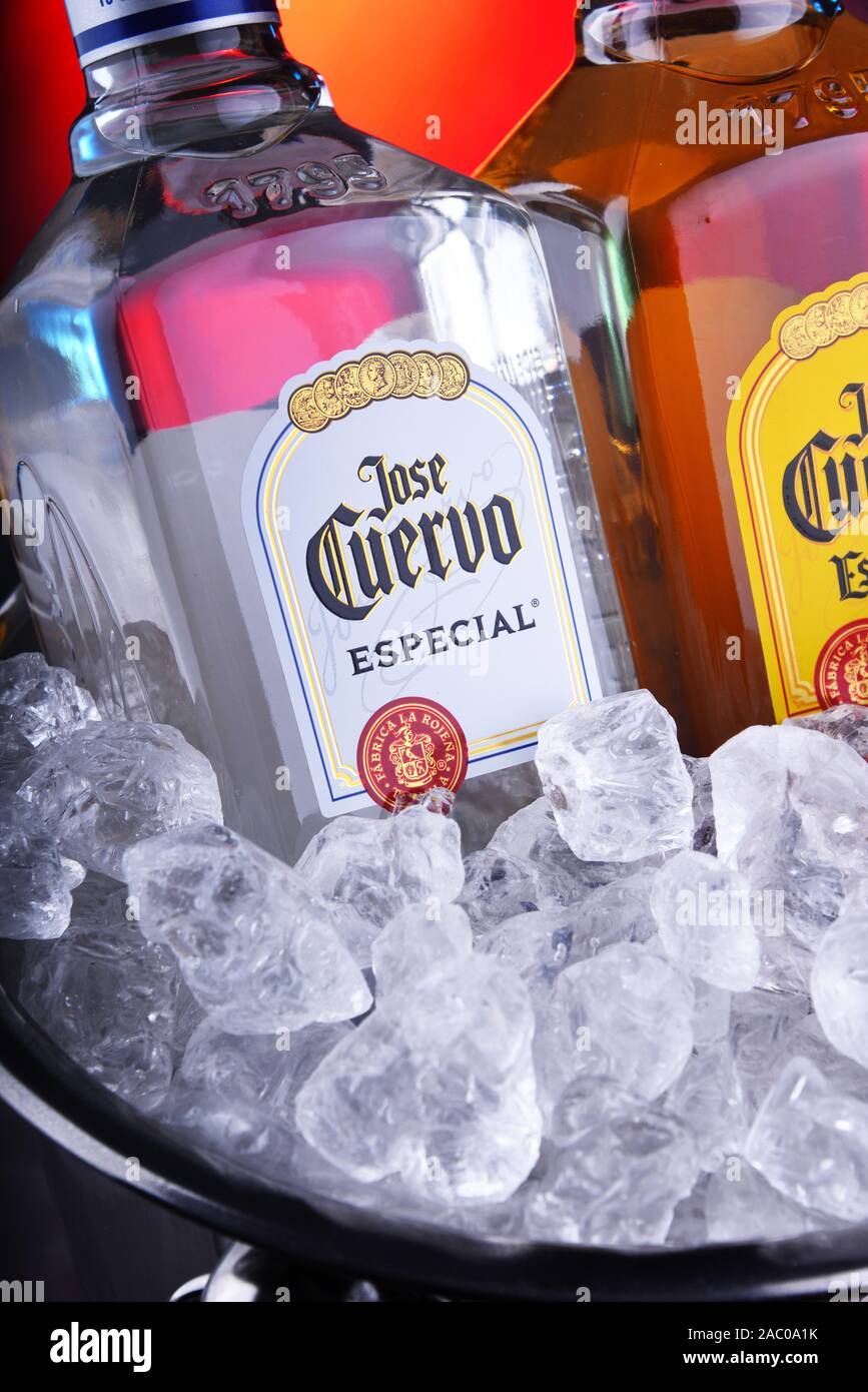 Tequila Jose Cuervo Wallpaper