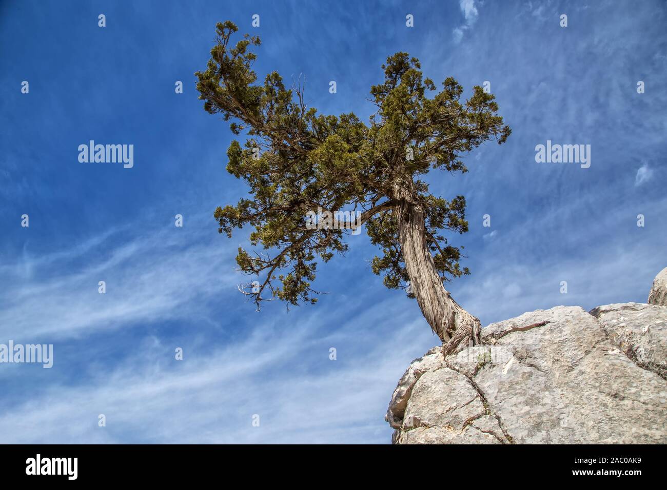 Taurus Mountains, Baranda Plateau and juniper trees Stock Photo