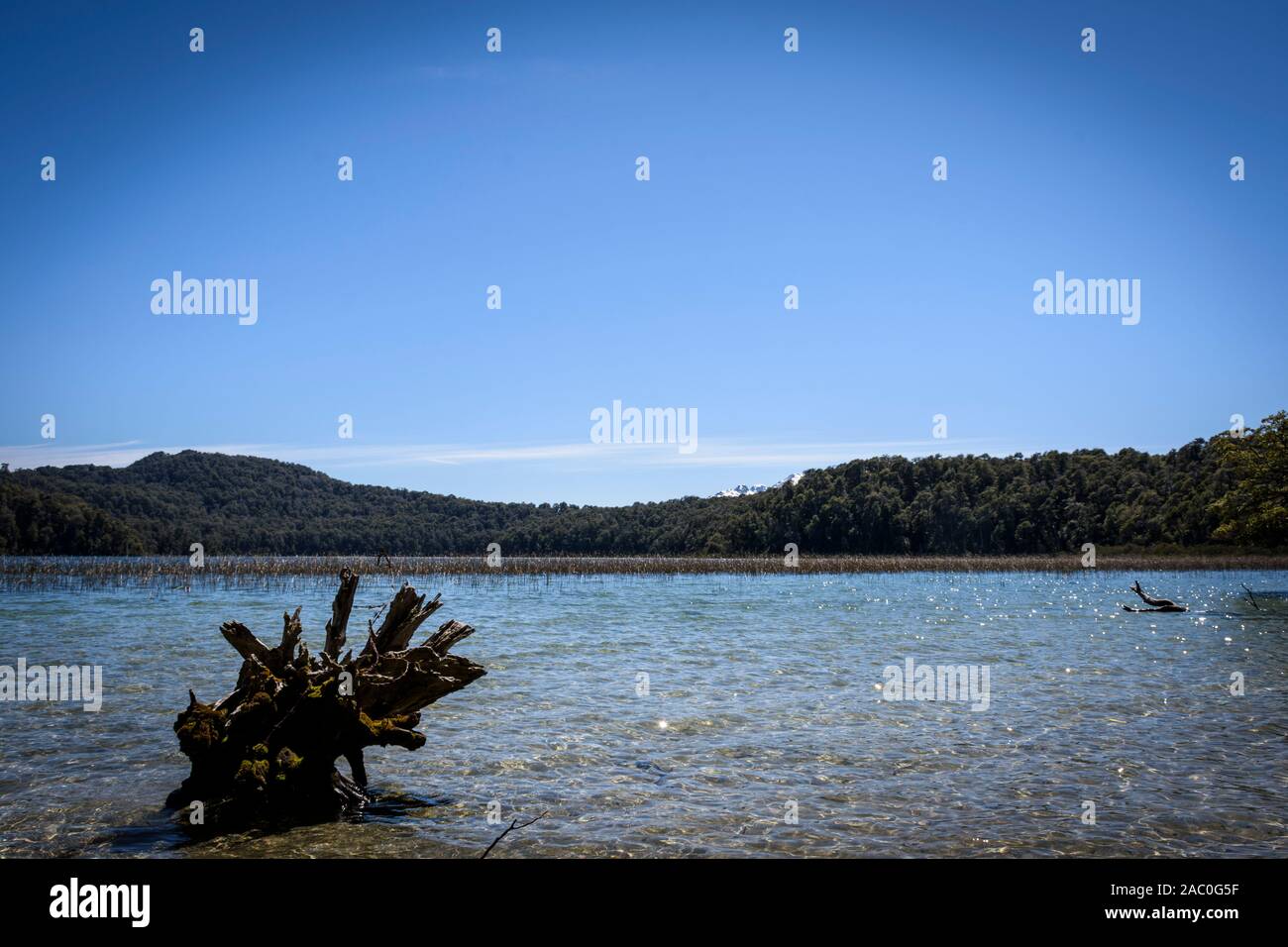 Landscape view of Laguna Patagüa in Los Arrayanes National Park, Villa ...