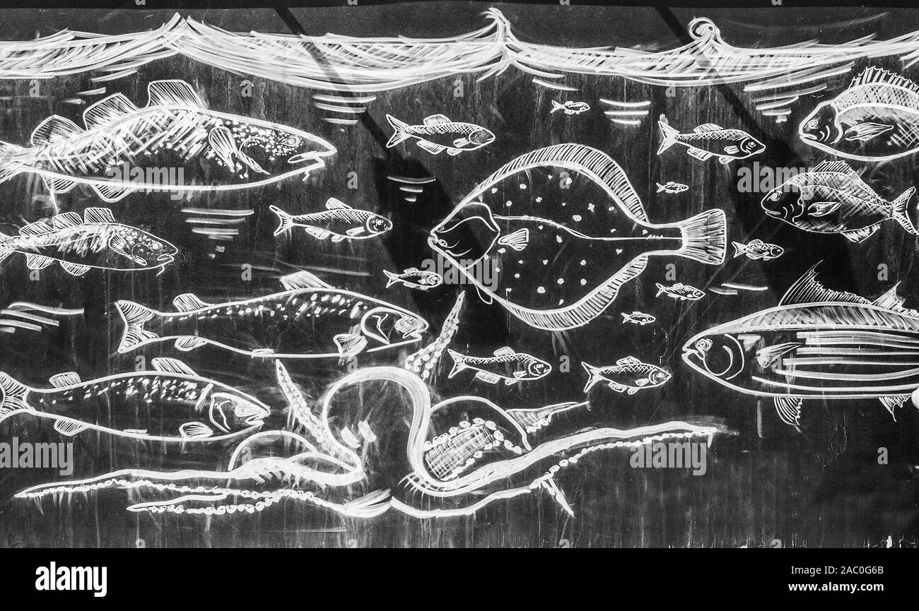 Chalk drawn picture on blackboard depicting octopus and different kinds of fishes swimming under water suface Stock Photo