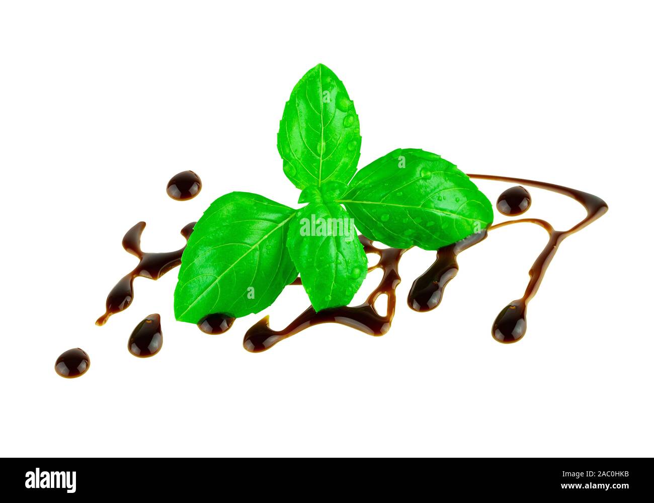 Italian cuisine food concept. Basil leaf with vinegar balsamic drops on white background Stock Photo