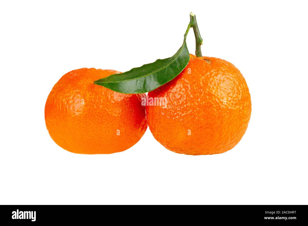 two tangerine mandarin orange fruit isolated on white Stock Photo