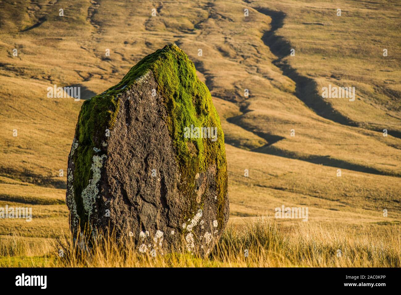 Maen Llia Standing Stone in the Llia Valley Fforest Fawr in the Brecon Beacons National Park, South Wales. Believed to be a waymarker. Stock Photo