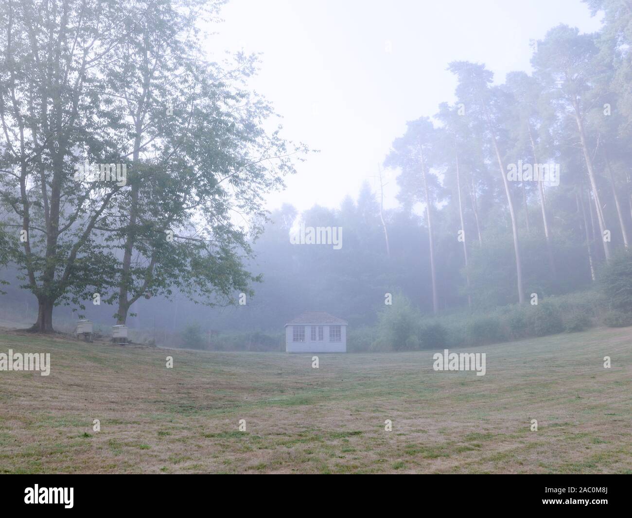 And English garden in mist with Cherry Trees and Bee hives and a Summer House with Pine Forest behind Stock Photo