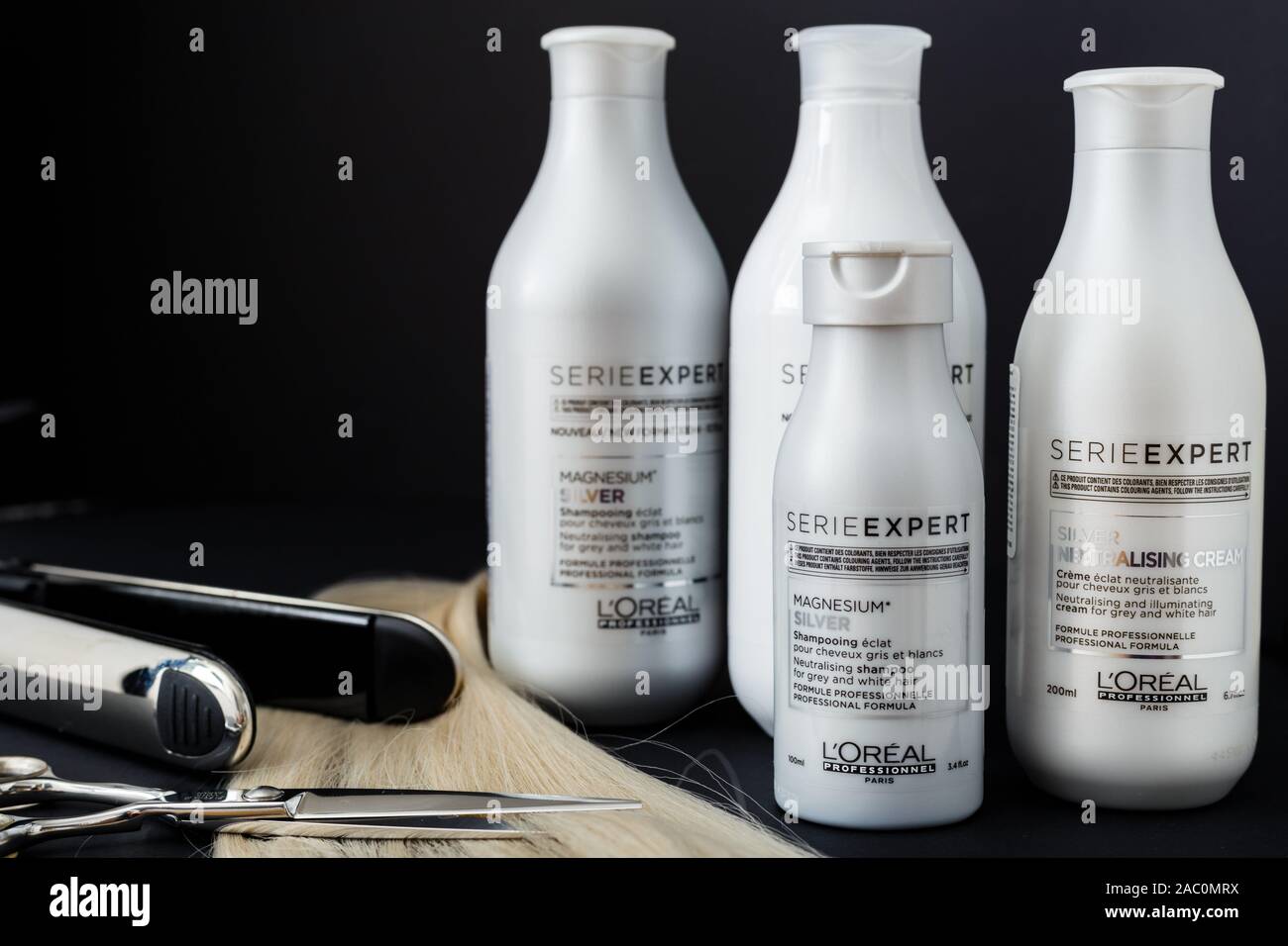 L Oreal Professionnel Paris Serie Expert Silver Hair Professional