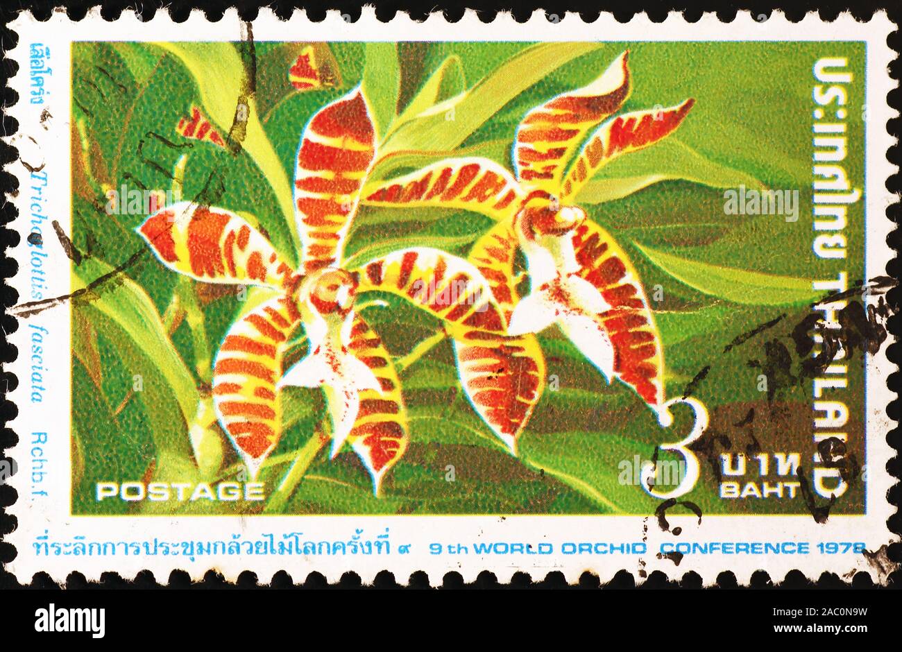 Beautiful orchids on thai postage stamp Stock Photo