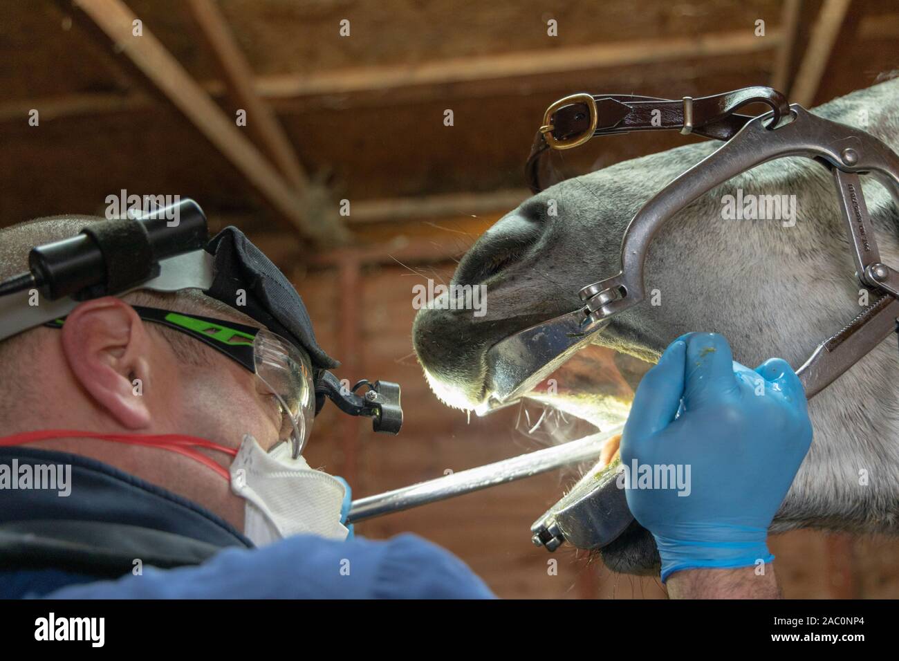 Gag mouth hires stock photography and images Alamy
