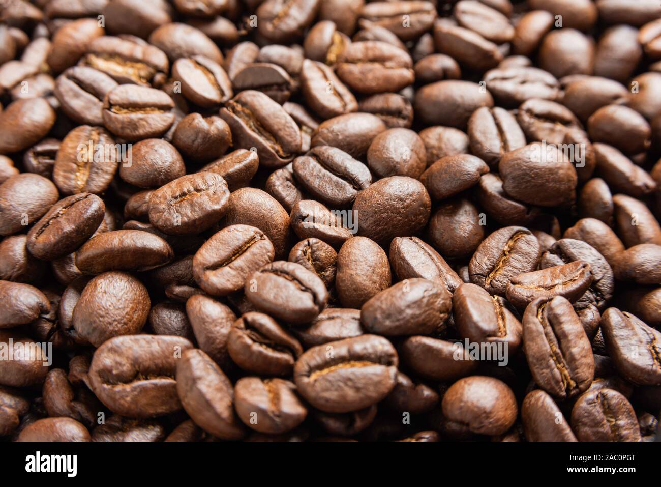 Excelsa coffee deals