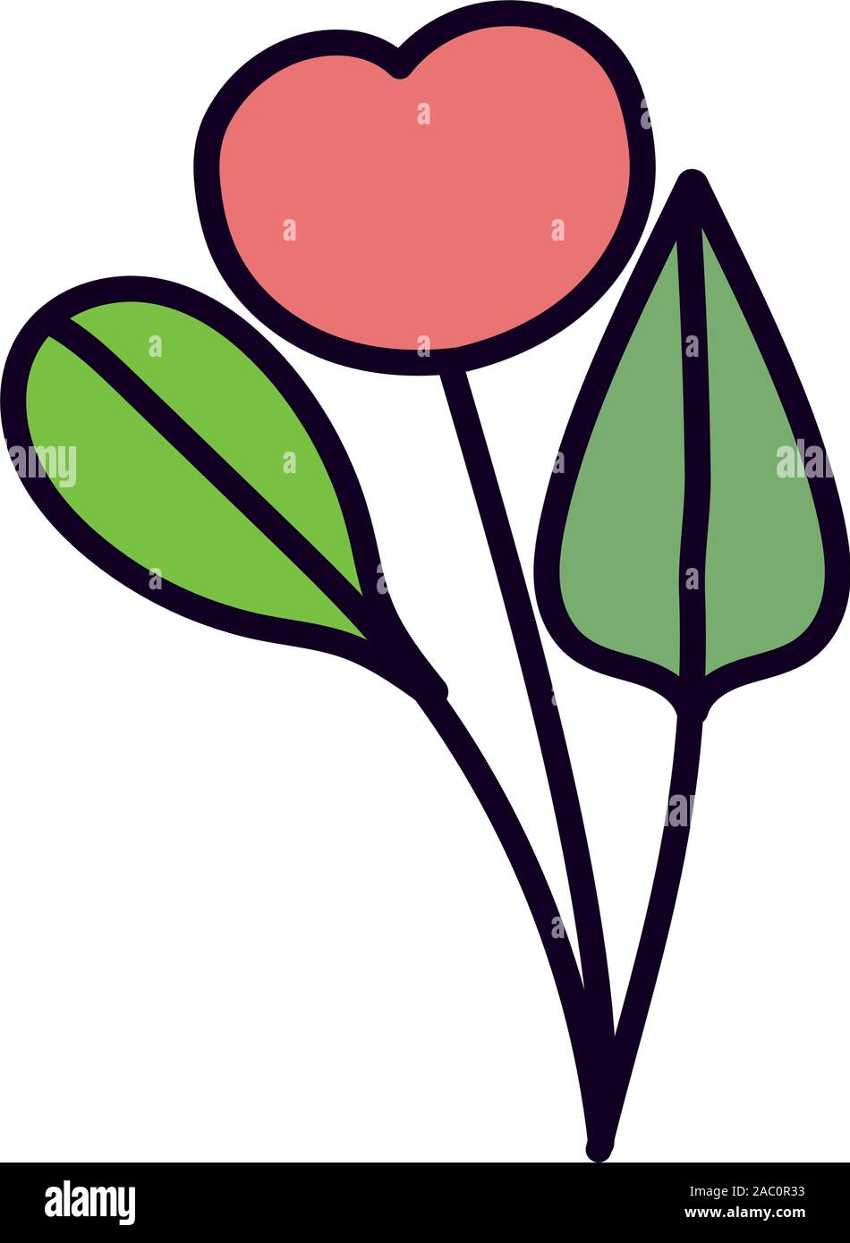 flowers stem leaves petals nature decoration icon vector illustration ...