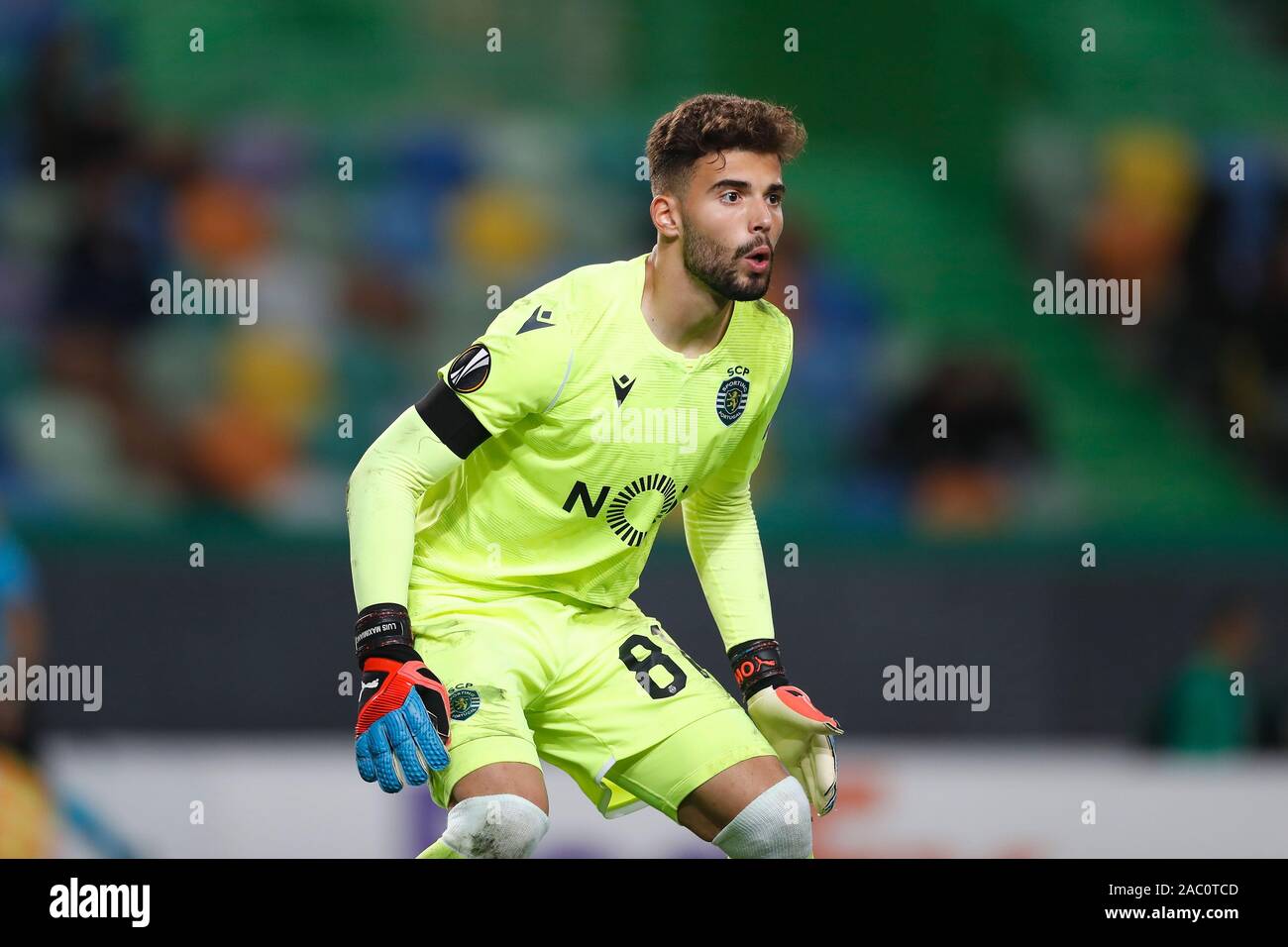 Lisbon Portugal 28th Nov 2019 Luis Maximiano Sportingcp Football Soccer Uefa Europa League Group Stage Matchday 5 Group D Match Between Sporting Clube De Portugal 4 0 Psv Eindhoven At The Estadio Jose
