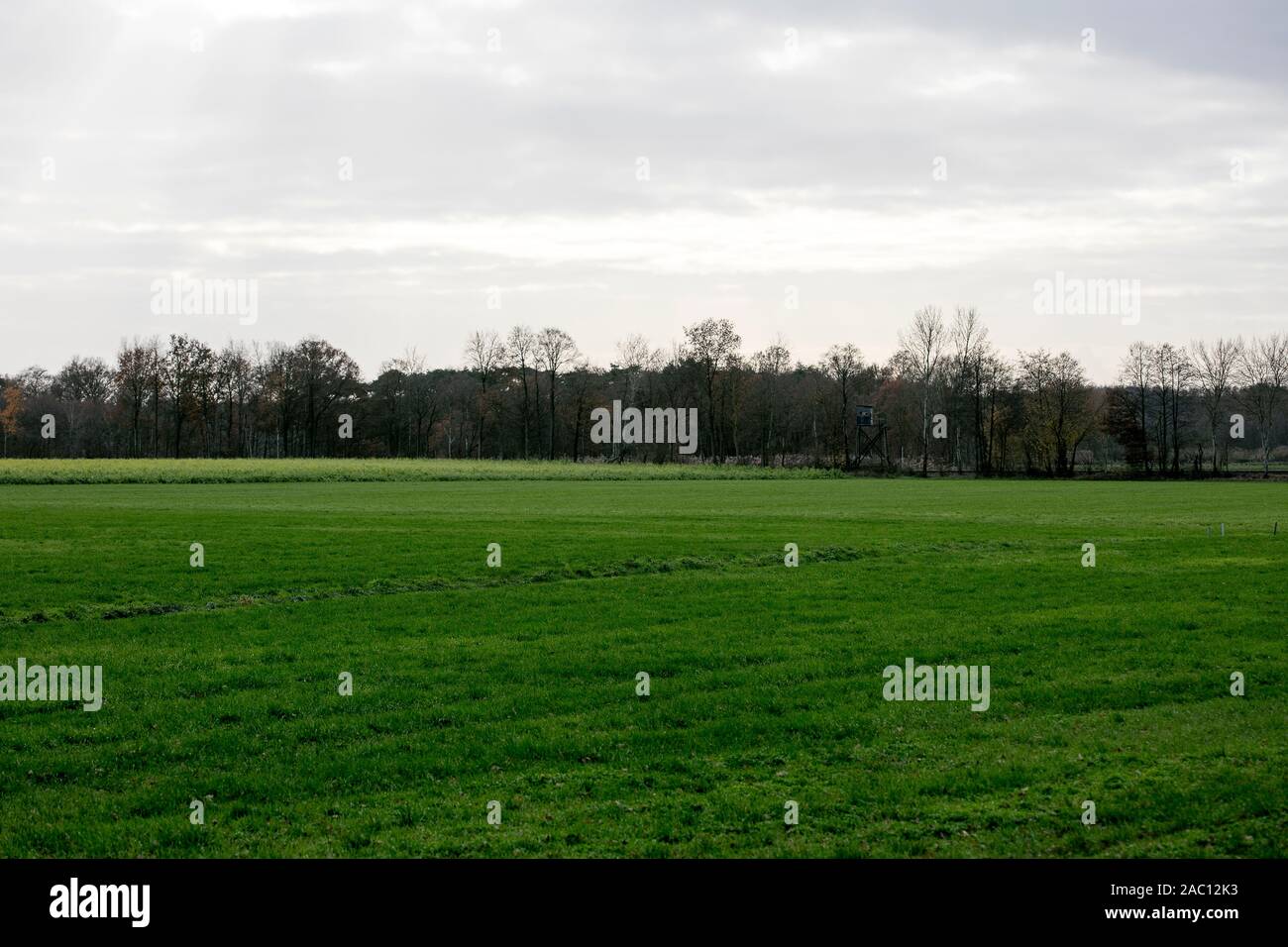 Nature landscape north germany background fifty megapixels Rhade ...