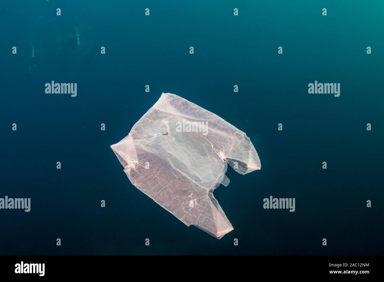 Plastic Pollution in the Ocean - A discarded plastic bag drifting underwater in a tropical ocean Stock Photo