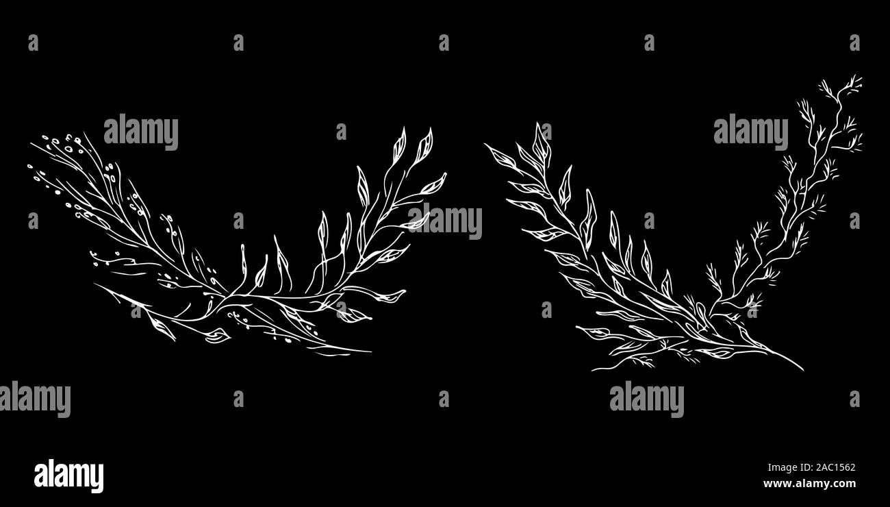 Hand Drawn Vector Illustrations Of Two Branches With Flowers and Leaves ...