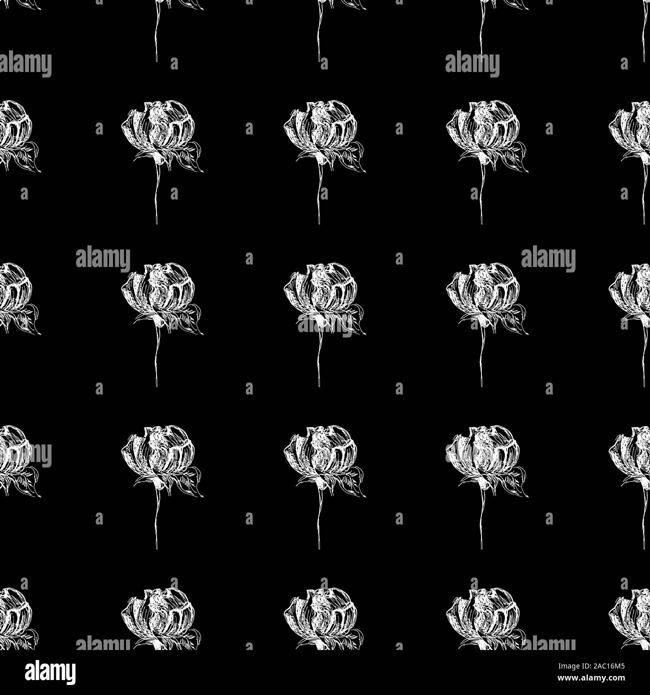 Seamless hand drawn pattern of abstract rose flowers isolated on black ...