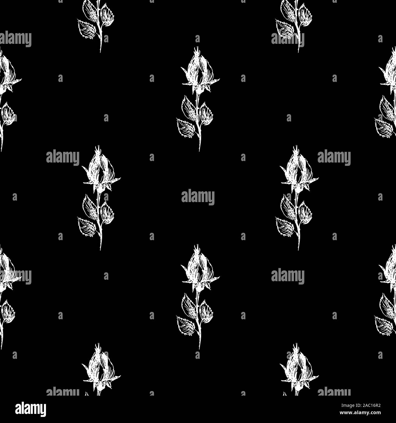 Seamless hand drawn pattern of abstract rose flowers isolated on black ...