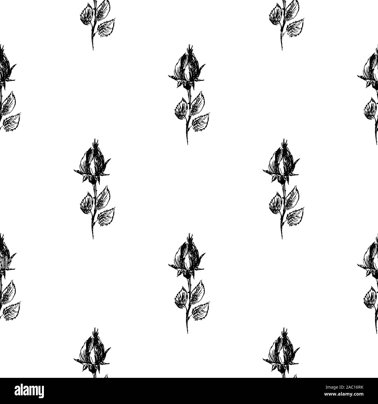 Seamless hand drawn pattern of abstract rose flowers isolated on white ...